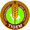 tigem